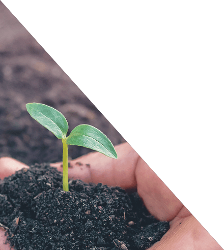 確かな成長のお手伝い