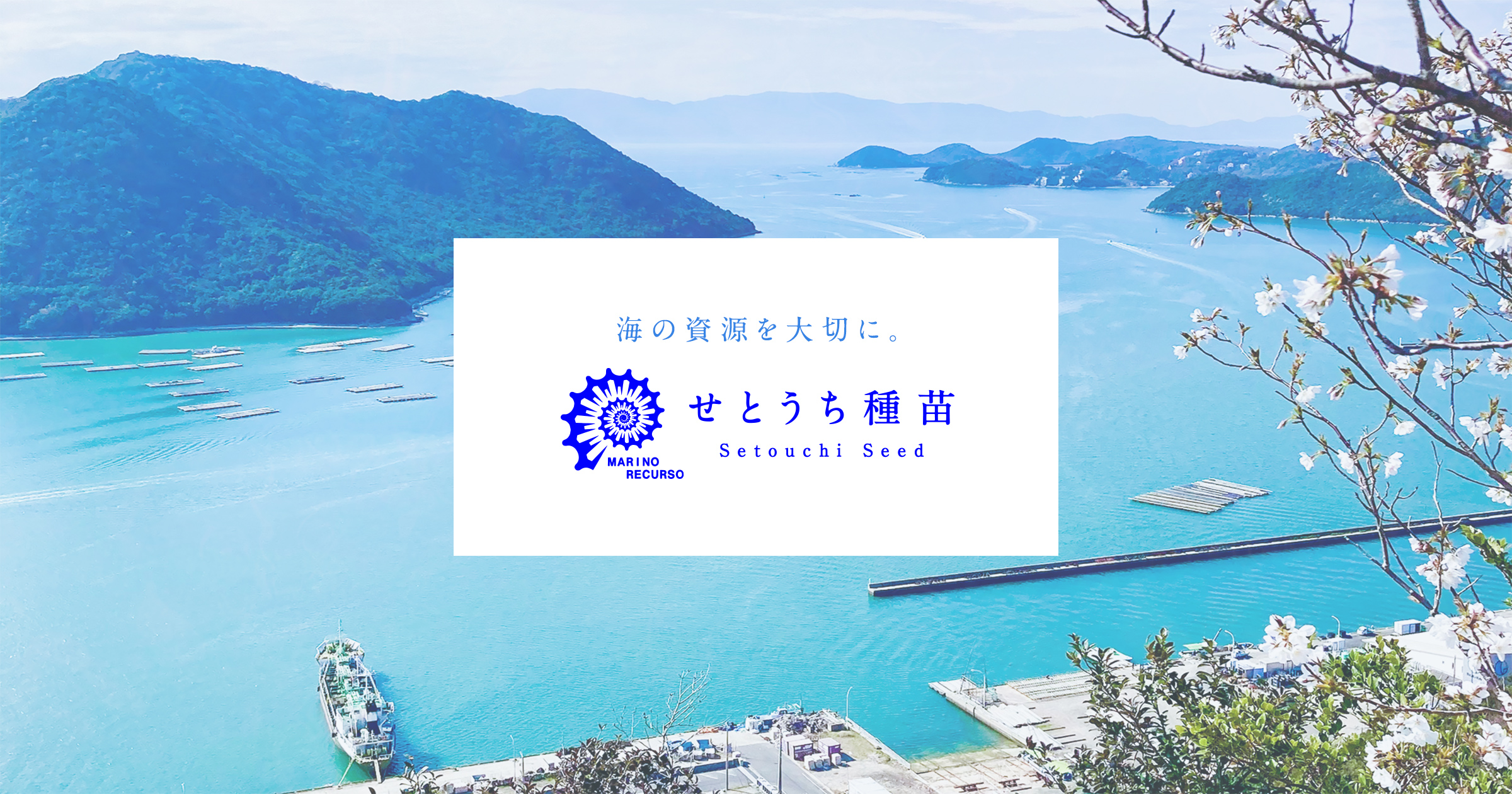 せとうち種苗 様