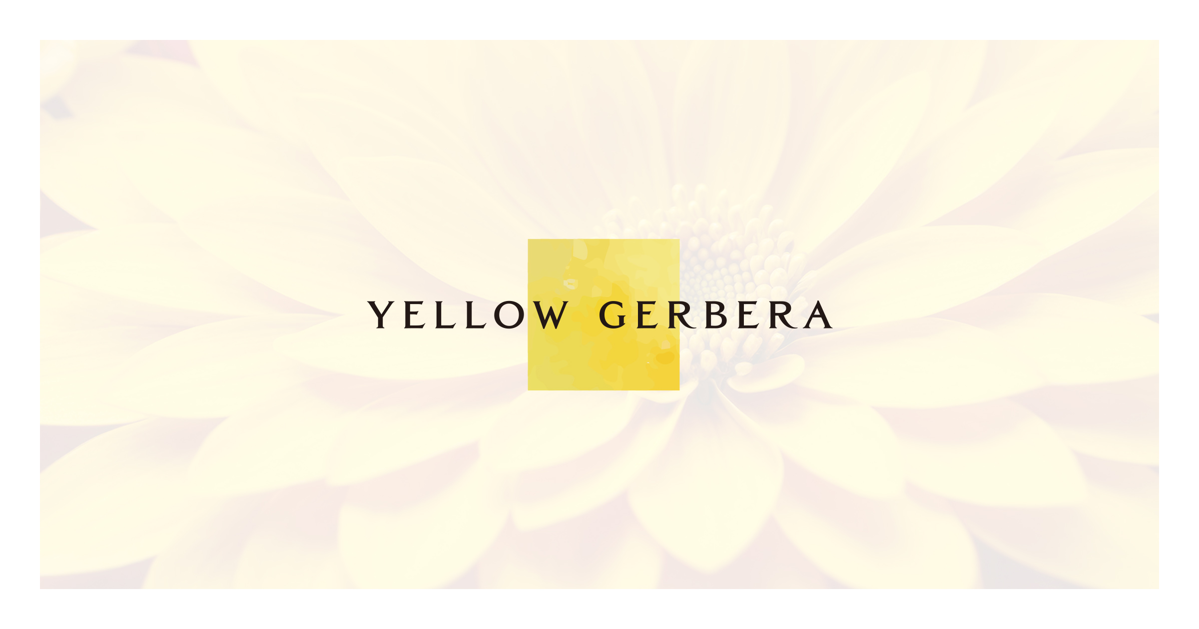 Yellowgerbera 様